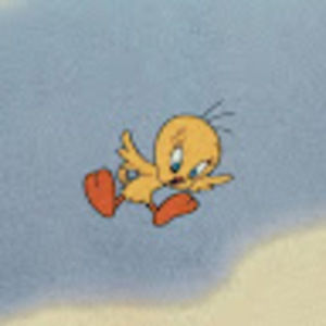 Meet your Posher, Ava